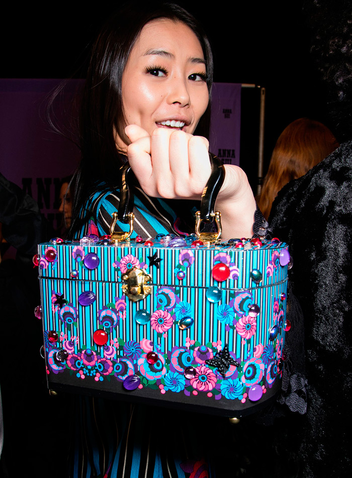 Anna Sui Bag