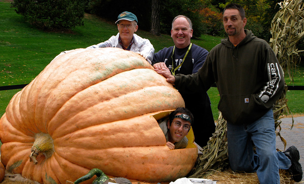 Just a huge pumpkin