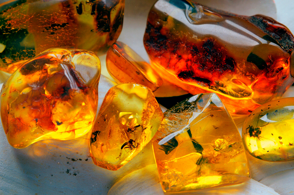 Amber with insects