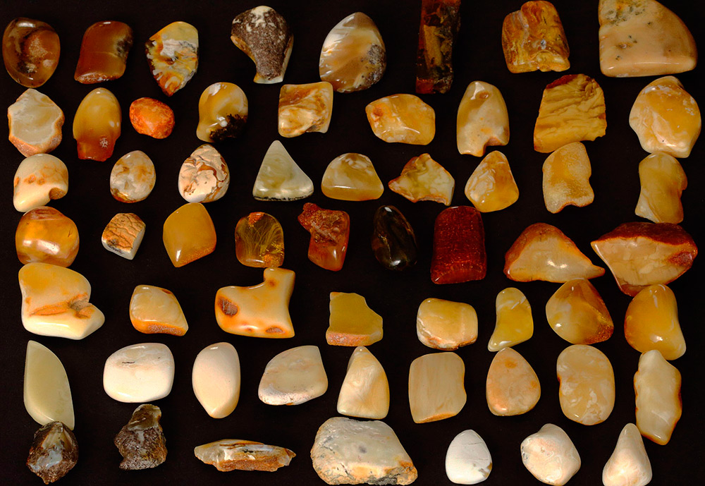 Varieties of amber