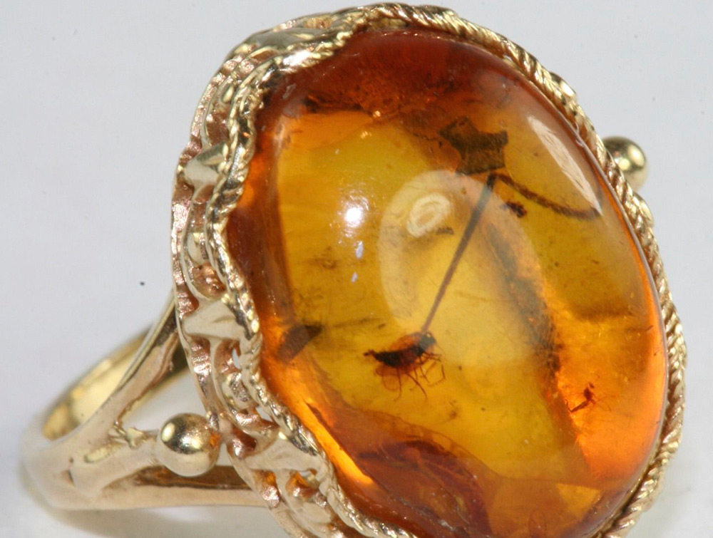 Gold ring with amber