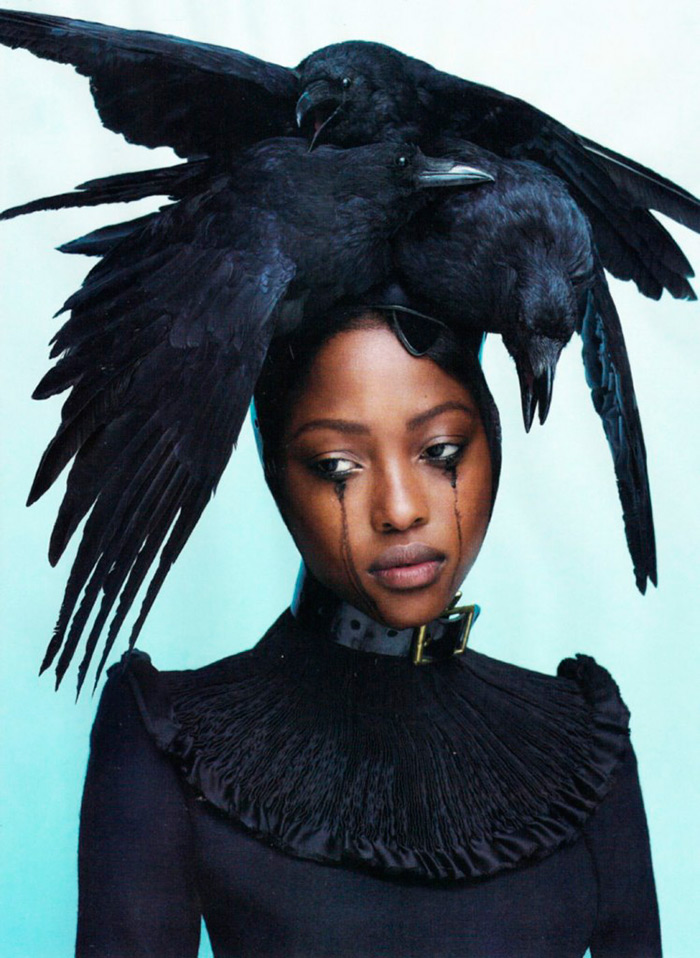 The crow as a source of inspiration for fashion images and photos