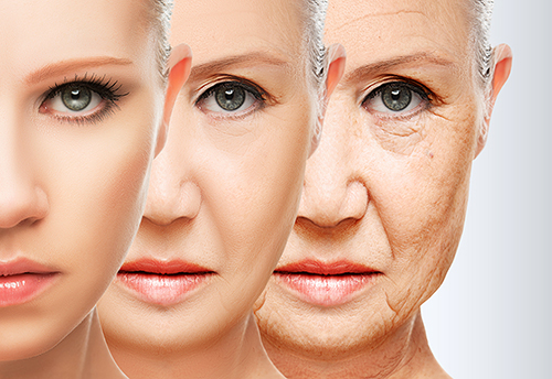 The best anti-aging cosmetics - researching the ingredients