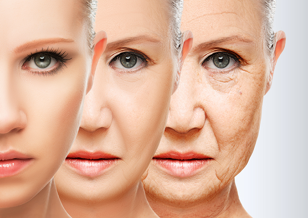 Best Anti-Aging Cosmetics