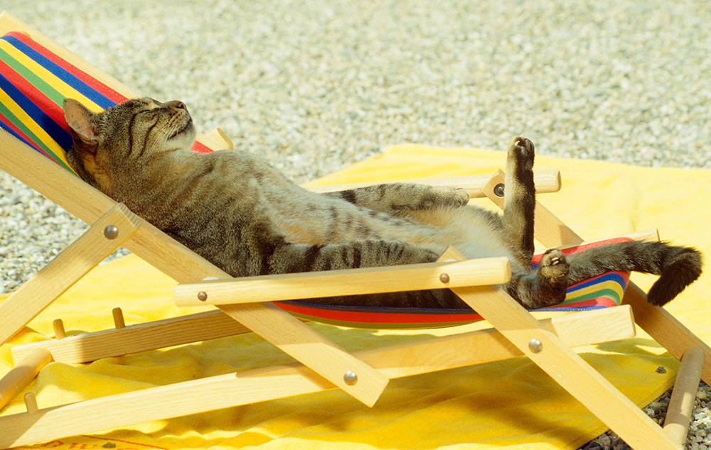 How to sunbathe