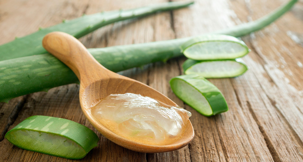 Aloe Vera for face and hair