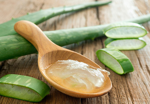 What you need to know about the medicinal properties of Aloe Vera