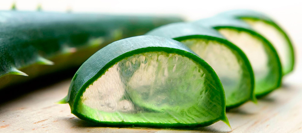 Aloe Vera for face and hair