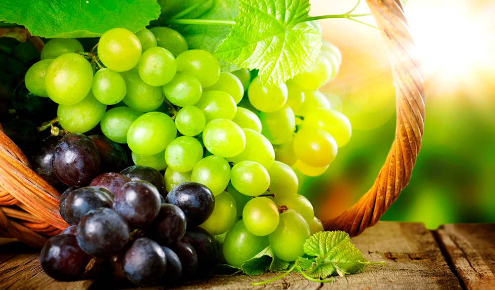 Grapes - useful properties