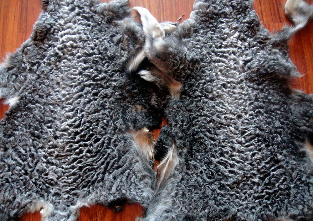 Karakul skins