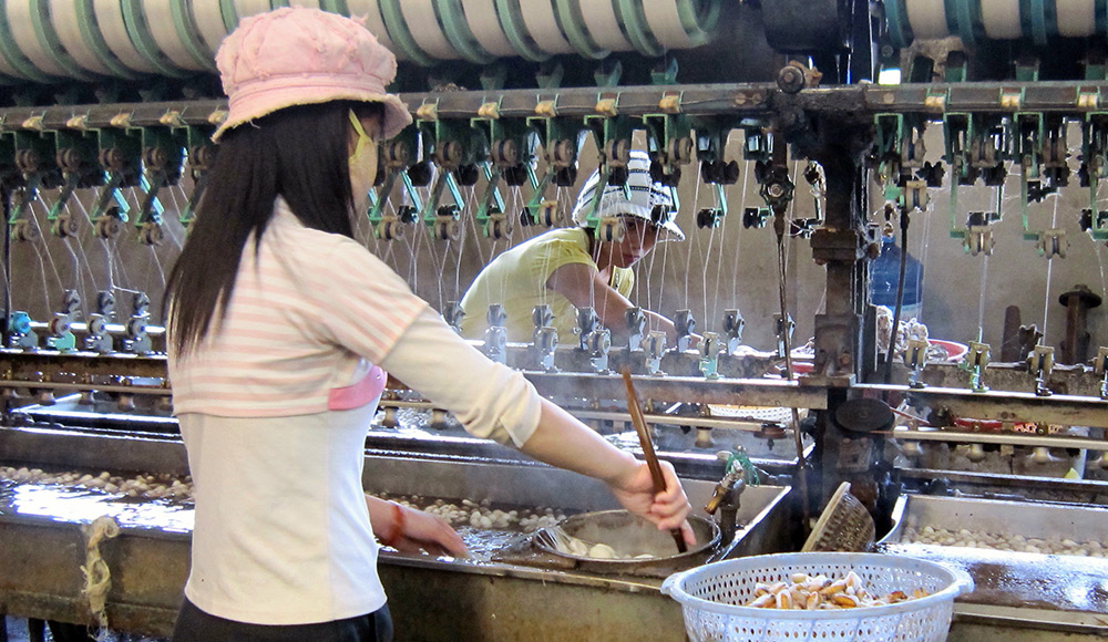 Natural silk production