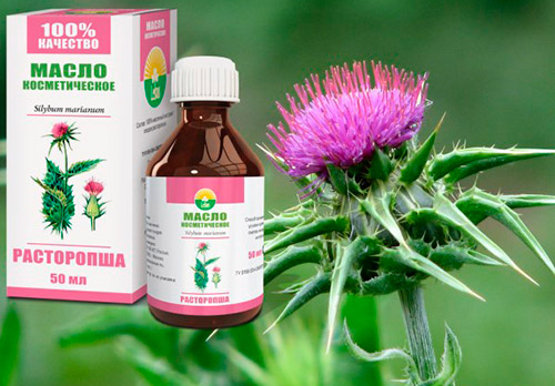 How milk thistle oil is used in cosmetology