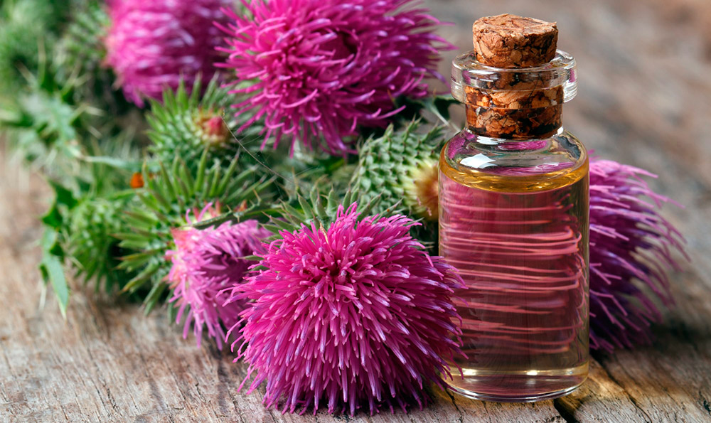 milk thistle oil in cosmetology