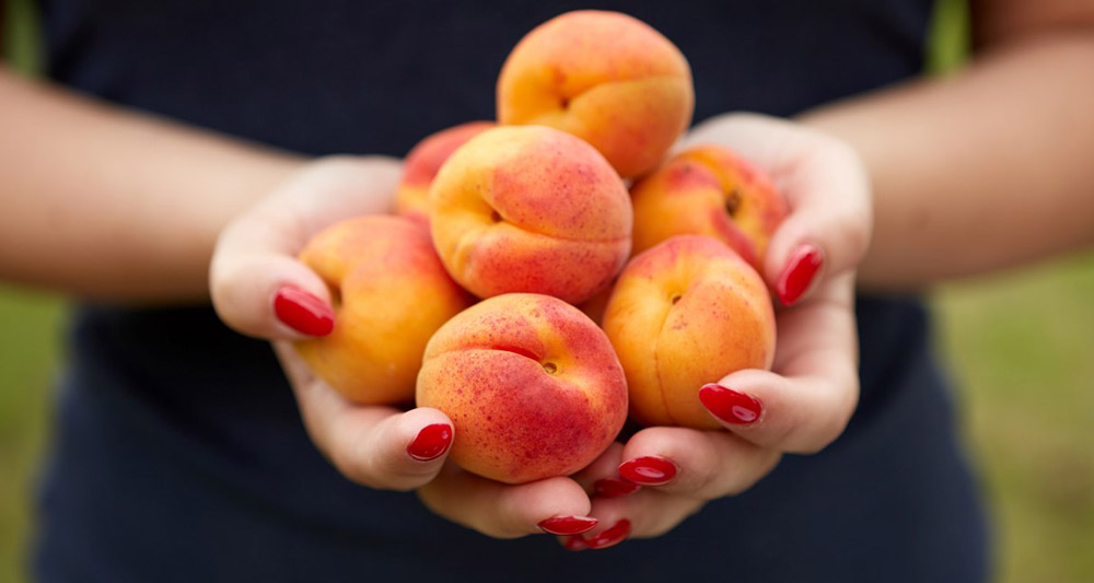 How many apricots are there per day