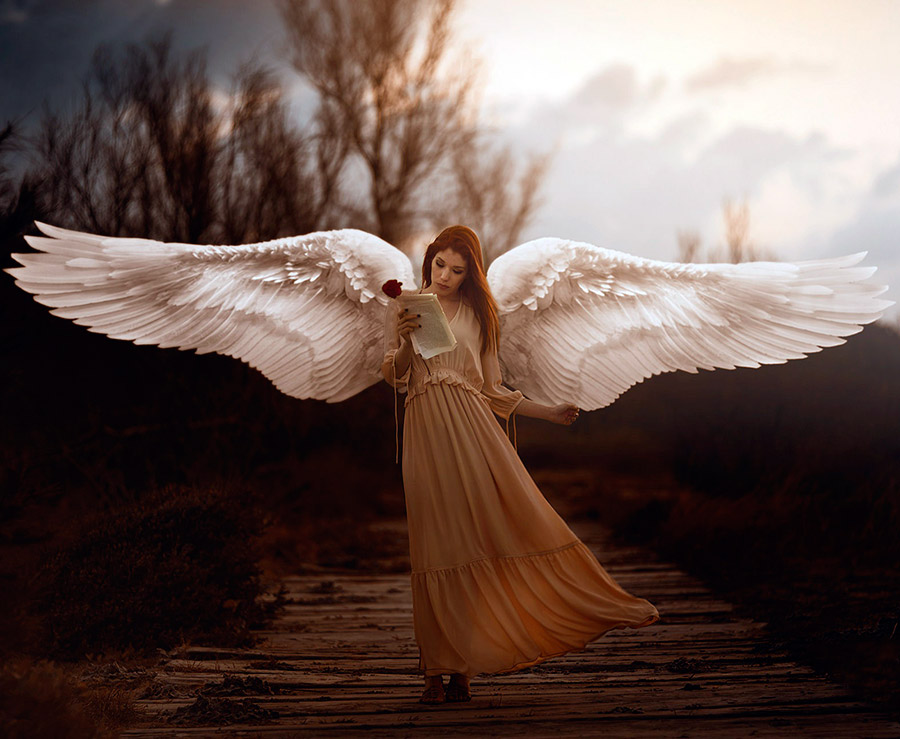 Angel girl with wings