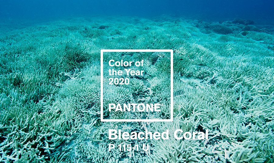 Main color of 2024