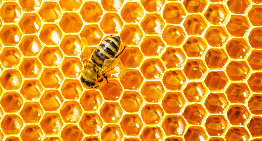 Honey in cosmetics