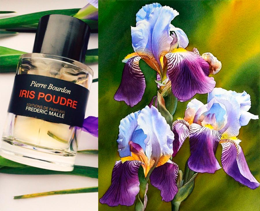 Iris perfume