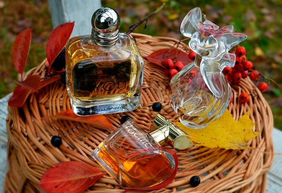 Top 10 best perfumes for fall